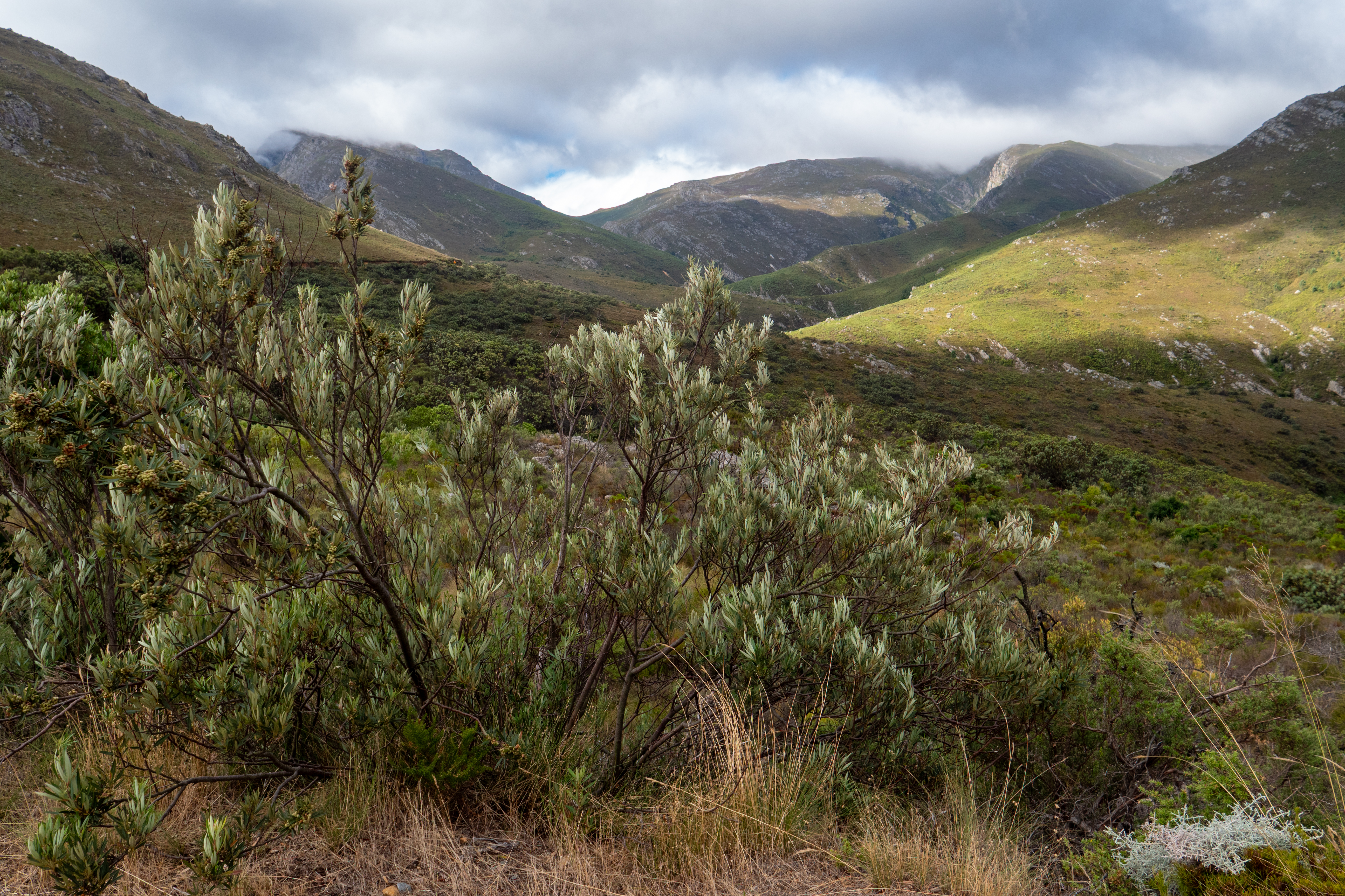 Franschhoek Pass